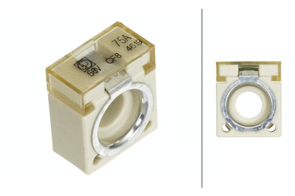 Zekering Hella 8JS 747 876-011