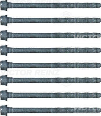 Cilinderkopboutenset Reinz 14-17428-02