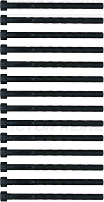 Cilinderkopbout set Reinz 14-22995-01