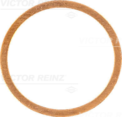 Afdichtring Reinz 40-70197-00