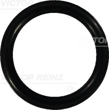 Afdichtring Reinz 40-76059-00
