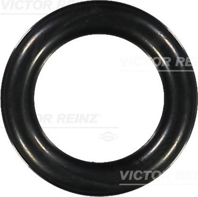 Afdichtring Reinz 40-76061-00