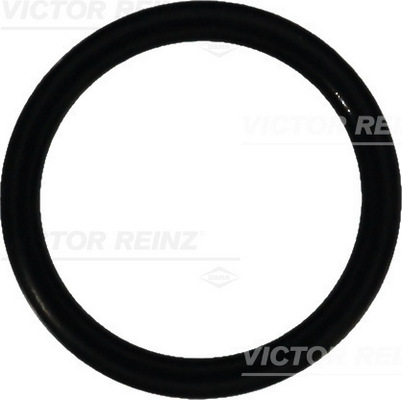 Afdichtring Reinz 40-76070-00