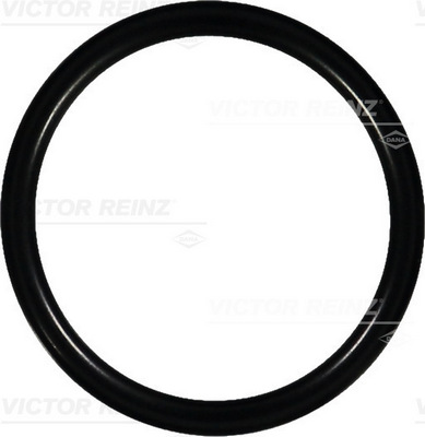 Afdichtring Reinz 40-76088-00