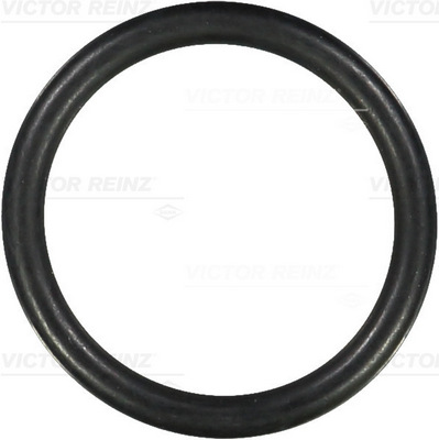 Afdichtring Reinz 40-76098-00