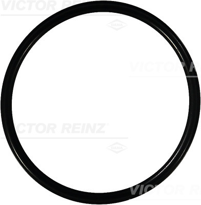 Afdichtring Reinz 40-76125-00
