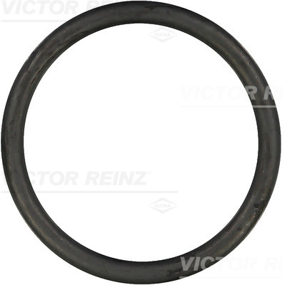 Afdichtring Reinz 40-76128-00