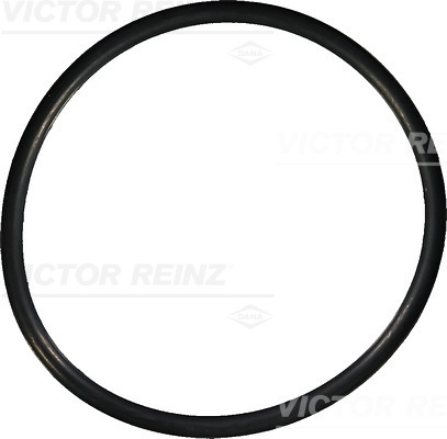 Afdichtring Reinz 40-76149-00