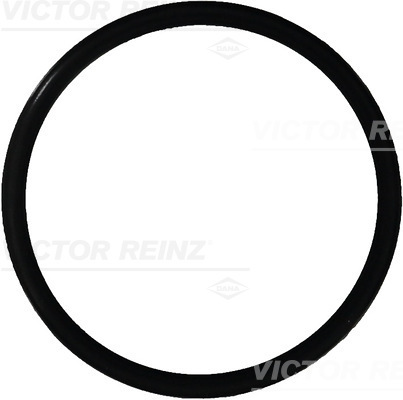 Afdichtring Reinz 40-76165-00