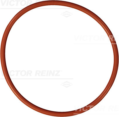 Afdichtring Reinz 40-76169-10