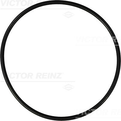 Afdichtring Reinz 40-76203-00