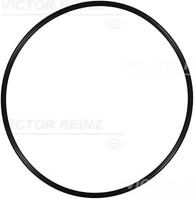 Afdichtring Reinz 40-76243-00