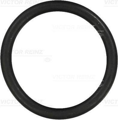 Afdichtring Reinz 40-76313-00