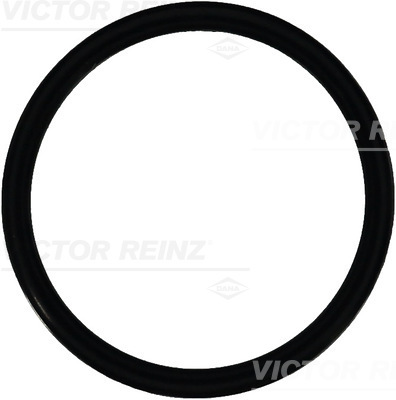 Afdichtring Reinz 40-76546-00