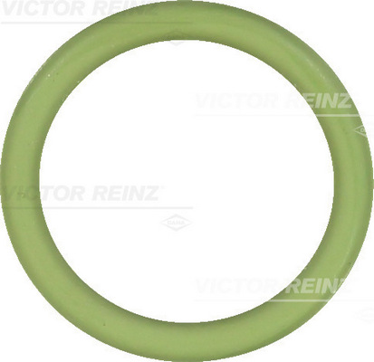 Afdichtring Reinz 40-76579-10