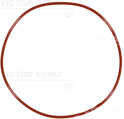Afdichtring Reinz 40-76581-00
