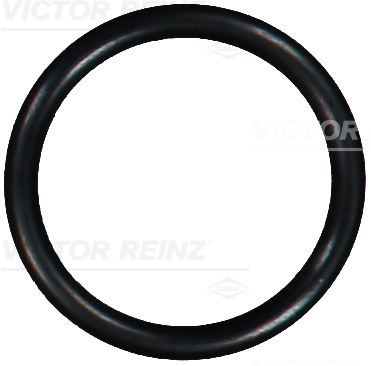 Afdichtring Reinz 40-76587-00