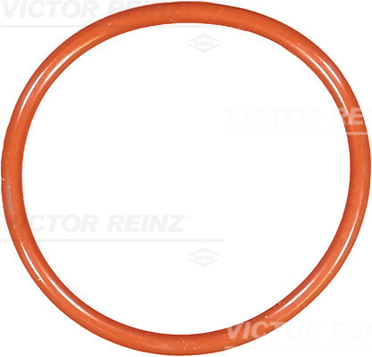 Afdichtring Reinz 40-76592-00