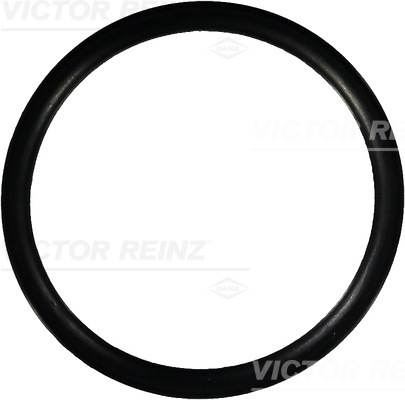 Afdichtring Reinz 40-76681-00