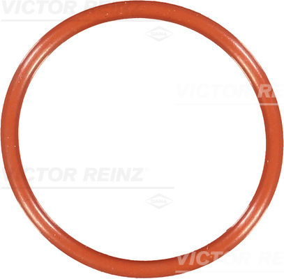 Afdichtring Reinz 40-76692-00