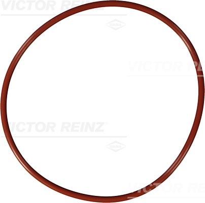 Afdichtring Reinz 40-76695-00