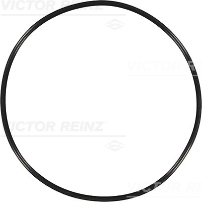 Afdichtring Reinz 40-76850-00