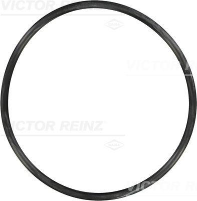 Afdichtring Reinz 40-76901-00