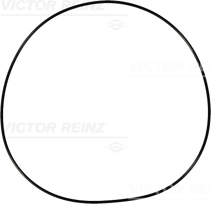 Afdichtring Reinz 40-76915-00