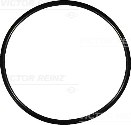 Afdichtring Reinz 40-76964-00