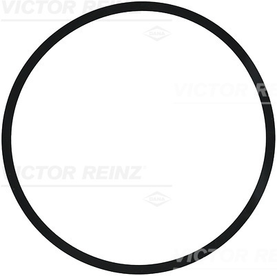 Afdichtring Reinz 40-77210-00