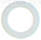 Afdichtring Reinz 40-77230-10