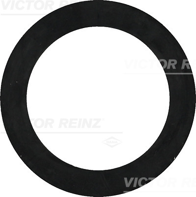 Afdichtring Reinz 40-77322-00