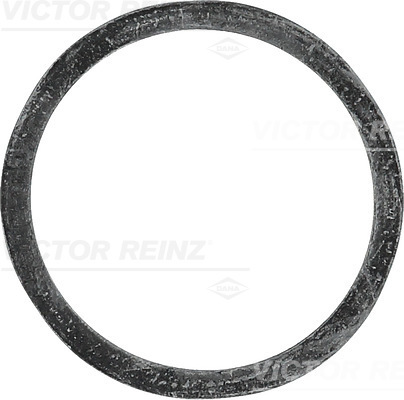 Afdichtring Reinz 40-77339-00