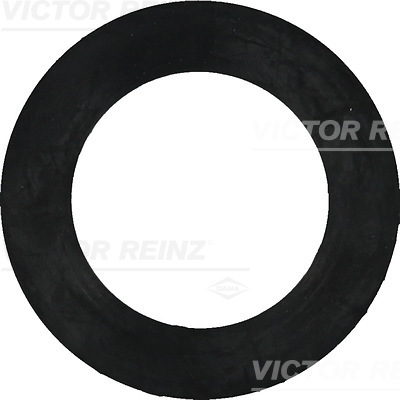 Afdichtring Reinz 40-77408-00