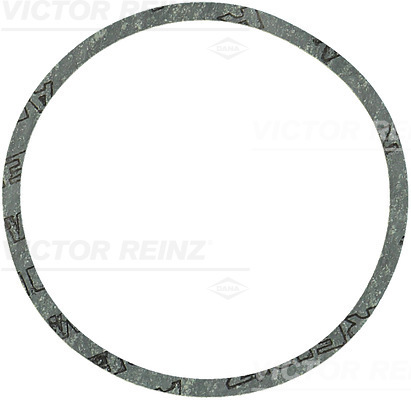 Afdichtring Reinz 40-81170-00