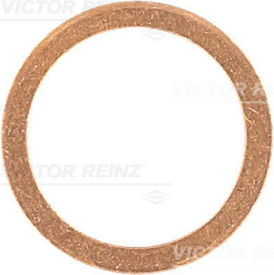 Afdichtring Reinz 41-70191-00