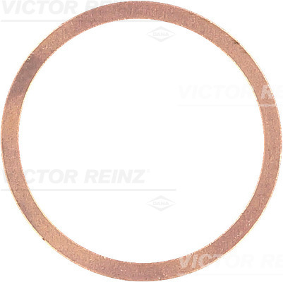 Afdichtring Reinz 41-70305-00
