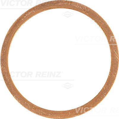Afdichtring Reinz 41-70322-00