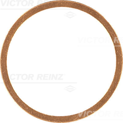 Afdichtring Reinz 41-70344-00