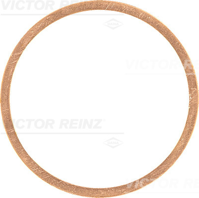 Afdichtring Reinz 41-70352-00