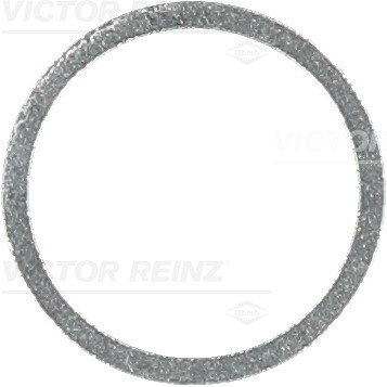 Afdichtring Reinz 41-71062-00