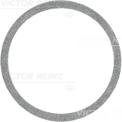 Afdichtring Reinz 41-71098-00
