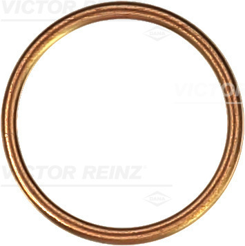 Afdichtring Reinz 41-72045-30