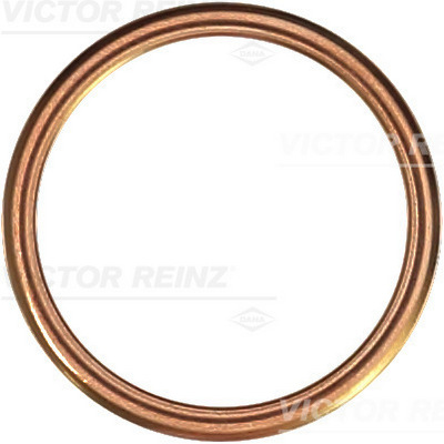Afdichtring Reinz 41-72053-30