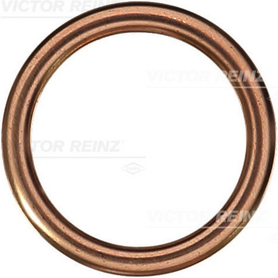 Afdichtring Reinz 41-72060-30
