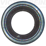 Klepsteelpakking Reinz 70-23982-00