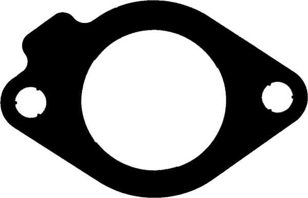 Uitlaatpakking Reinz 71-39073-00