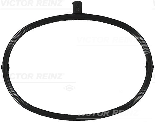 Pakking/ Afdichting Reinz 71-17173-00