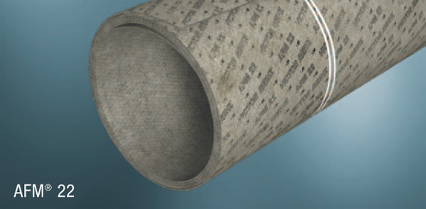 Vaste stof afdichting Reinz 70-31212-10