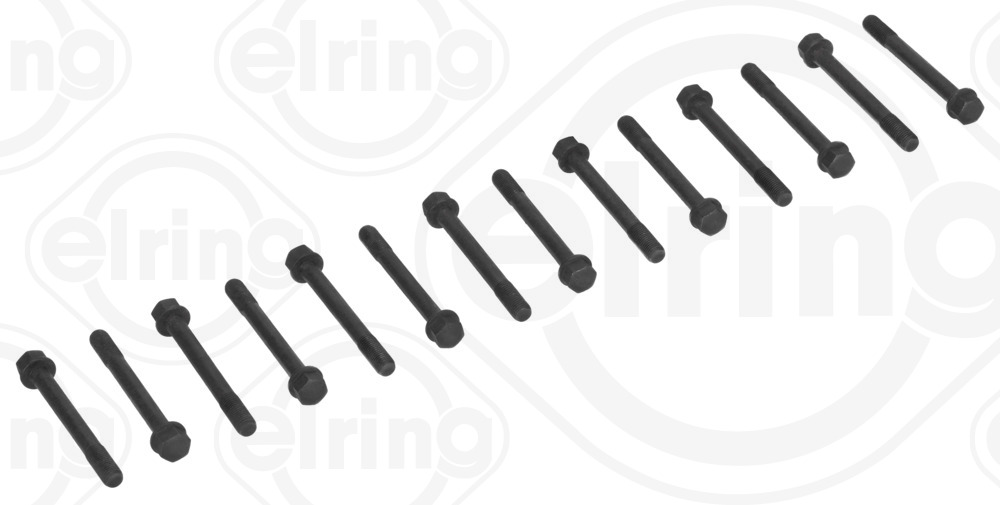 Cilinderkopboutenset Elring 710.500